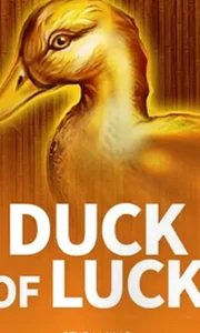 Duck Of Luck Ct