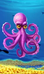 Crazy Octopus
